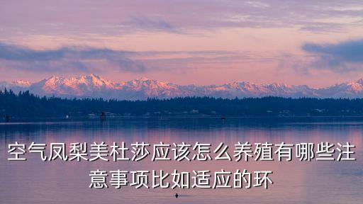 空氣鳳梨的養(yǎng)殖方法和注意事項(xiàng)，空氣鳳梨美杜莎應(yīng)該怎么養(yǎng)殖有哪些注意事項(xiàng)比如適應(yīng)的環(huán)