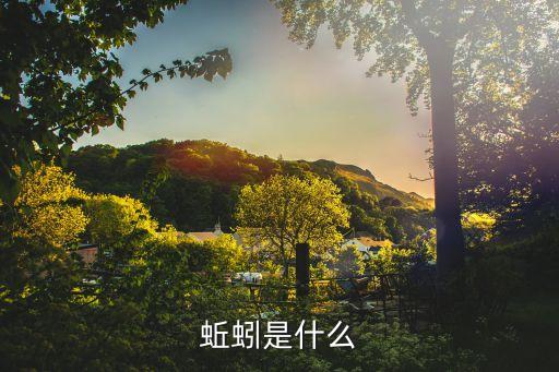 蚯蚓，蚯蚓是什么