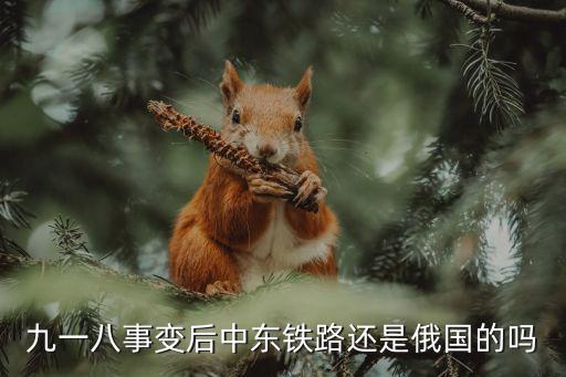 中東鐵路事件，蘇聯于哪一年侵占我國的黑匣子島