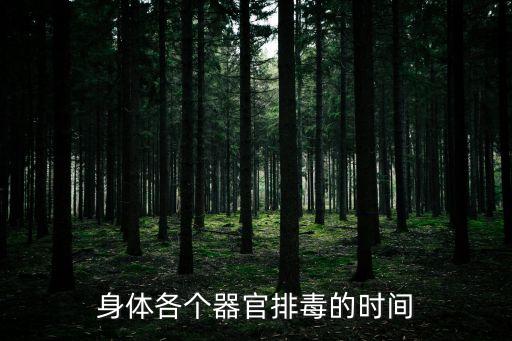 各器官排毒時(shí)間表，我們身體各個(gè)器官排毒的時(shí)間是什么時(shí)候啊