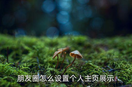 朋友圈怎么設(shè)置，微信朋友圈怎么設(shè)置提示