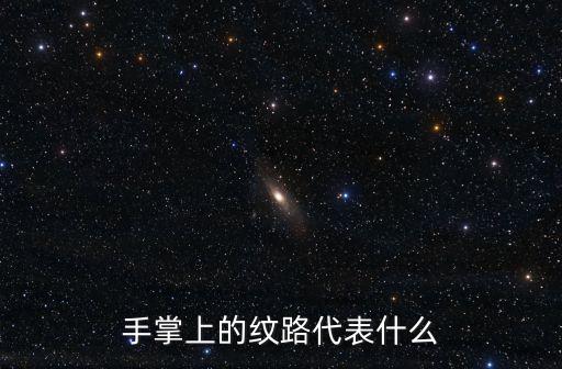 手掌上的紋路代表什么