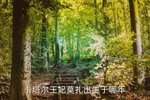 莫扎王妃，卡塔爾皇太后莫有沒有整容