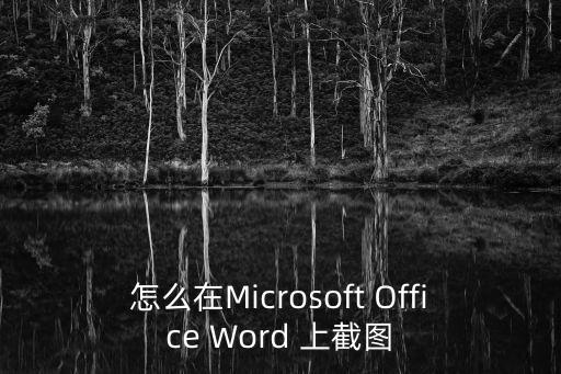 word截圖，word 中怎么截圖