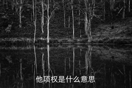他項權，他項權是什么意思請解釋簡明易懂一點謝謝