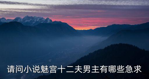 魅宮十二夫，請問小說魅宮十二夫男主有哪些急求