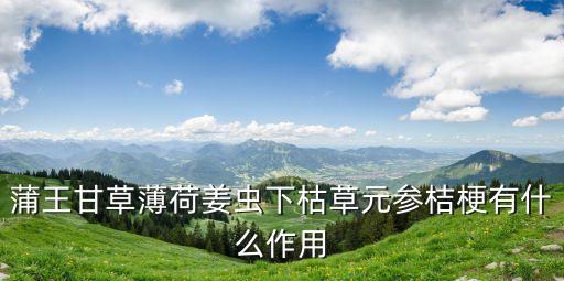 蒲王甘草薄荷姜蟲下枯草元參桔梗有什么作用
