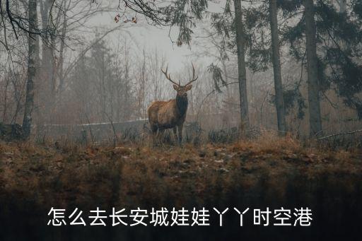 怎么去長安城娃娃丫丫時空港