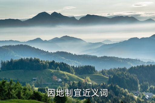 因地制宜的近義詞，因地制宜的同義詞
