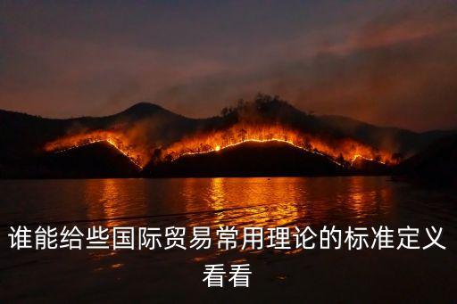 誰能給些國際貿易常用理論的標準定義看看