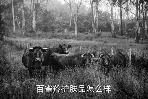 百雀羚護膚品，百雀羚護膚品怎么樣