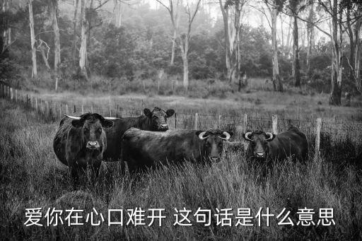 愛你口難開，愛你在心口難開 這句話是什么意思