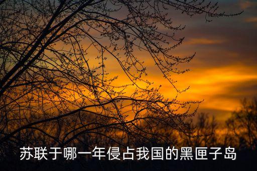 蘇聯于哪一年侵占我國的黑匣子島