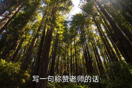 寫一句稱贊老師的話