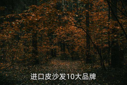 進口皮沙發10大品牌