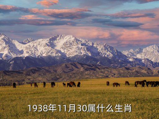 1938年11月30屬什么生肖