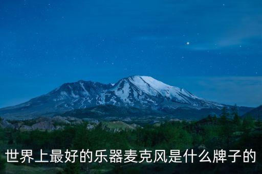 樂器麥克風(fēng)，世界上最好的樂器麥克風(fēng)是什么牌子的