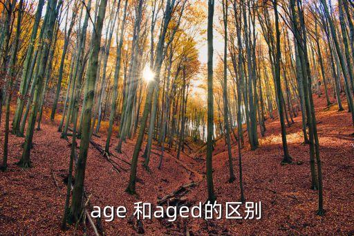 aged，age 和aged的區(qū)別