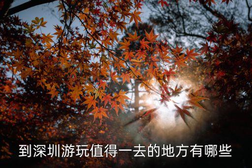 深圳哪里好玩景點排名，深圳旅游景點排名