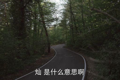 燦，燦 是什么意思啊