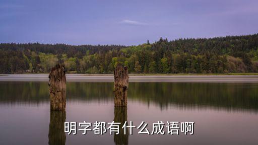 明的成語，明  成語