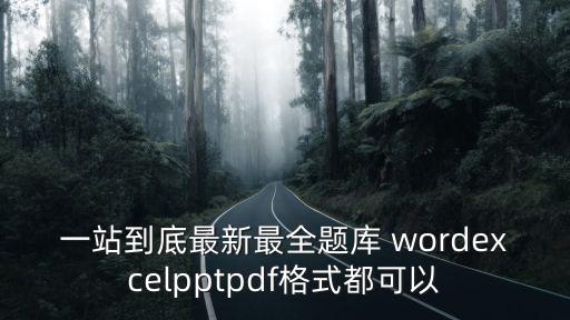 一站到底最新最全題庫 wordexcelpptpdf格式都可以