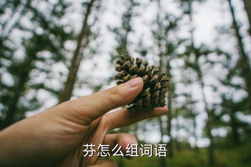 芬字組詞，用芬字組詞