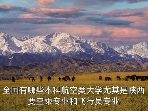 全國有哪些本科航空類大學(xué)尤其是陜西要空乘專業(yè)和飛行員專業(yè)