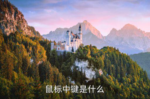 鼠標(biāo)中鍵是什么