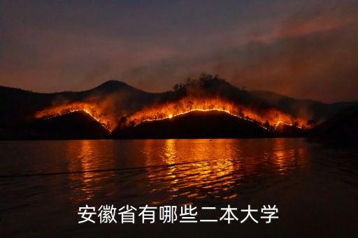 安徽省二本院校，安徽省有哪些二本大學(xué)