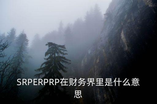 srp項目，如何評價一個SRP項目