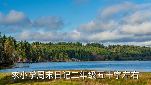 求小學周末日記二年級五十字左右