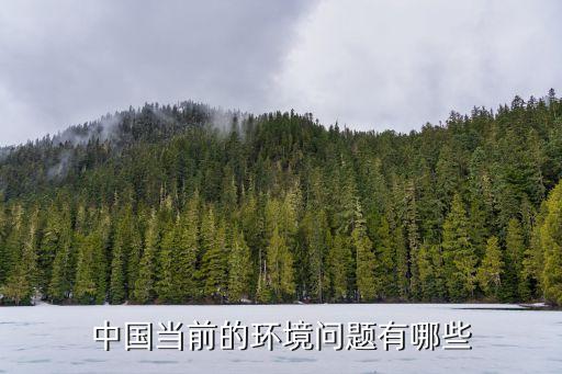 中國環境問題，我國現在環境問題的主要問題是什么