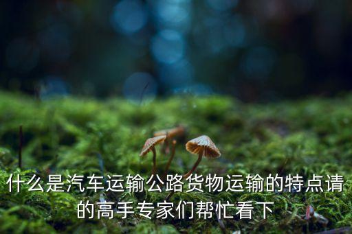 公路貨運，什么是汽車運輸公路貨物運輸的特點請的高手專家們幫忙看下