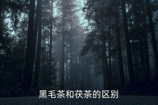 黑毛茶，黑毛茶和老青茶什么區別
