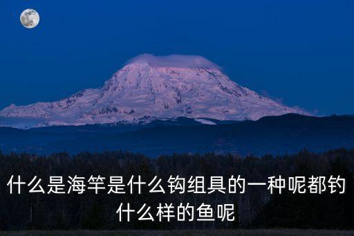 海竿，什么是海竿是什么鉤組具的一種呢都釣什么樣的魚呢