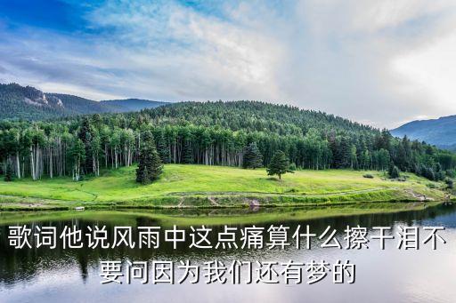 我們還有夢，歌詞他說風雨中這點痛算什么擦干淚不要問因為我們還有夢的