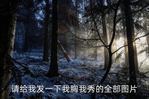 請給我發一下我胸我秀的全部圖片