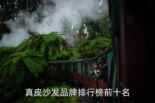 沙發十大品牌排行榜，真皮沙發品牌排行榜前十名