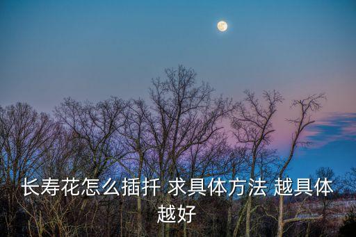 長壽花怎么插扦 求具體方法 越具體越好