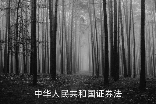 證券法，中華人民共和國證券法