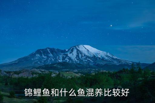錦鯉魚和什么魚混養(yǎng)比較好