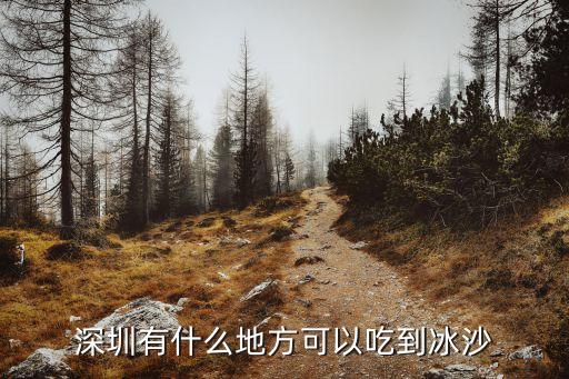 菠蘿冰沙，深圳有什么地方可以吃到冰沙