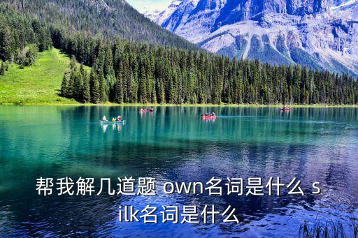 幫我解幾道題 own名詞是什么 silk名詞是什么