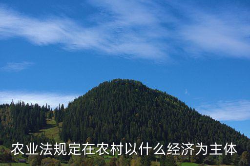農村經濟，農業法規定在農村以什么經濟為主體