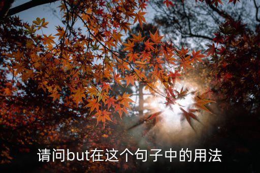 請問but在這個句子中的用法