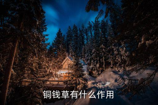 銅錢草有什么作用