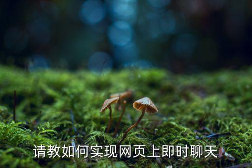 網頁即時聊天，網頁即時聊天的做法和原理有哪些分別是什么