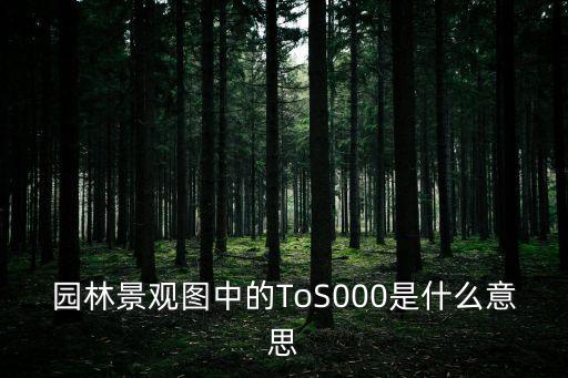 topsoil，園林景觀圖中的ToS000是什么意思