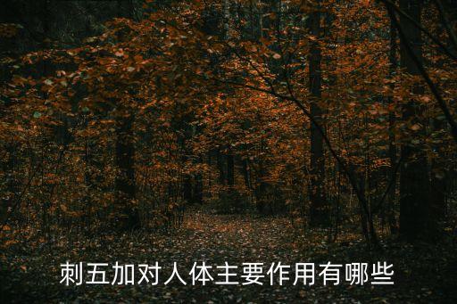 刺五加對人體主要作用有哪些